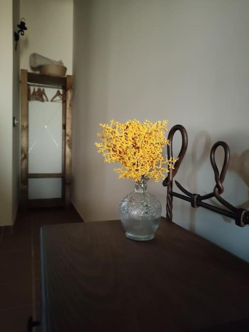 La Casa De La Abuela Amalia Διαμέρισμα Arenas de San Pedro Εξωτερικό φωτογραφία